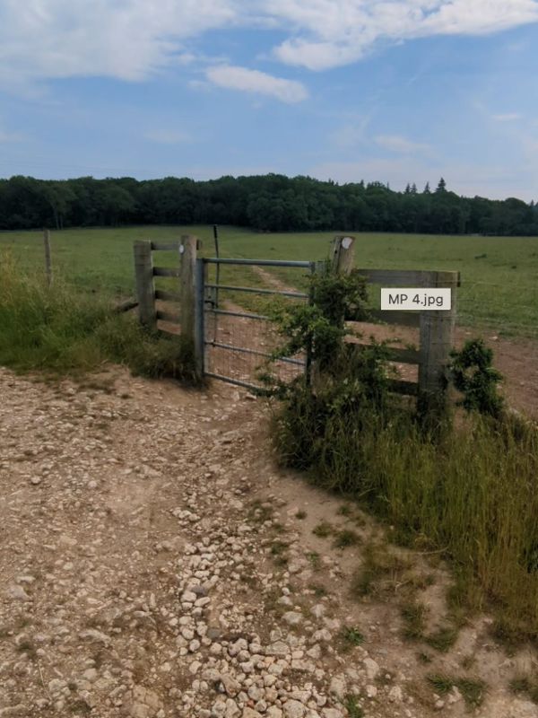 A gravel track running towards a line of woodland