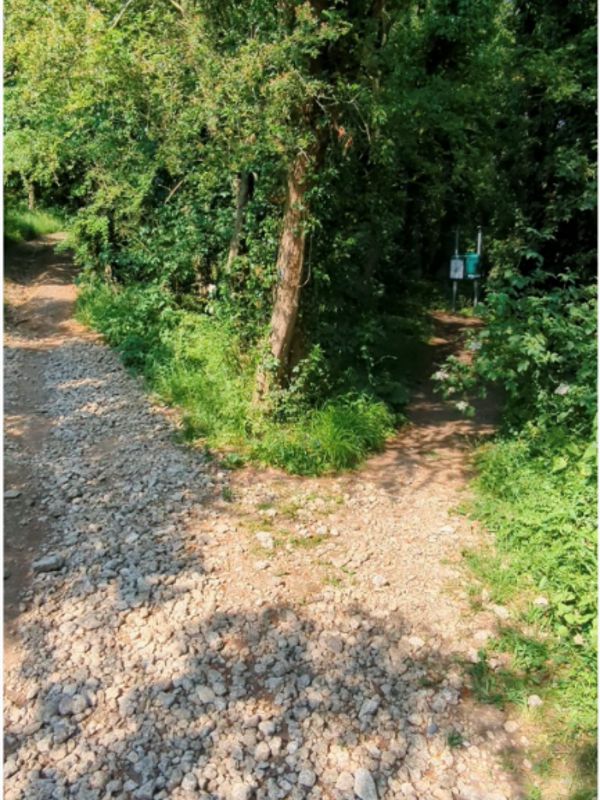 A stony path entering green woodland